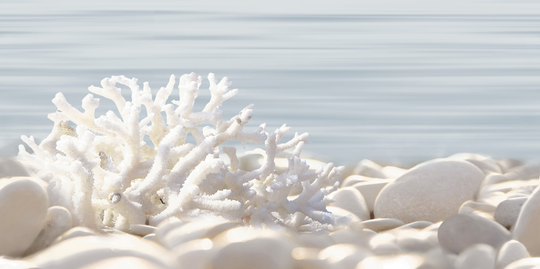 Декор Alma Ceramica Дель Мар 24,9x50 см DWU09DLM624