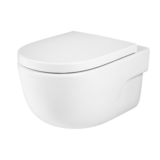 Унитаз подвесной безободковый Roсa Meridian-N