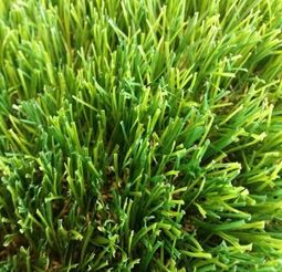 Искусственная трава Pretty Grass Deco 35
